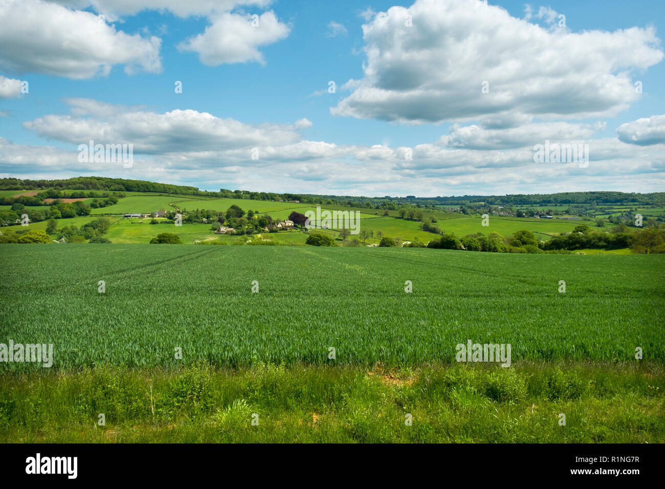 Ländliche Gloucestershire Cotswolds frühling landschaft in der Nähe Painswick Beacon, England, Großbritannien Stockfoto