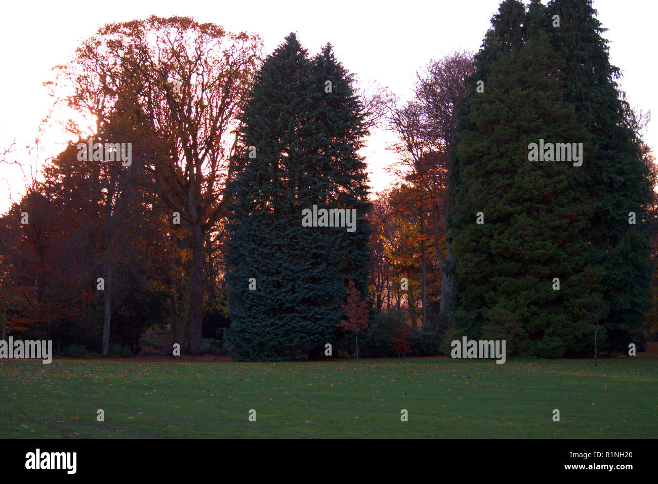 Belleisle Park, Ayr, Schottland im Herbst Farben Stockfoto