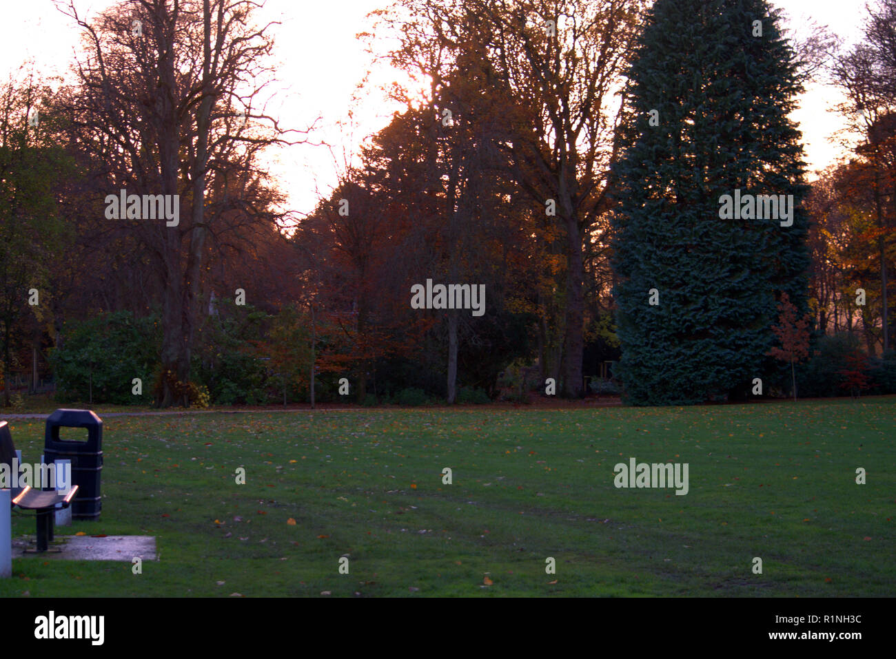 Belleisle Park, Ayr, Schottland im Herbst Farben Stockfoto