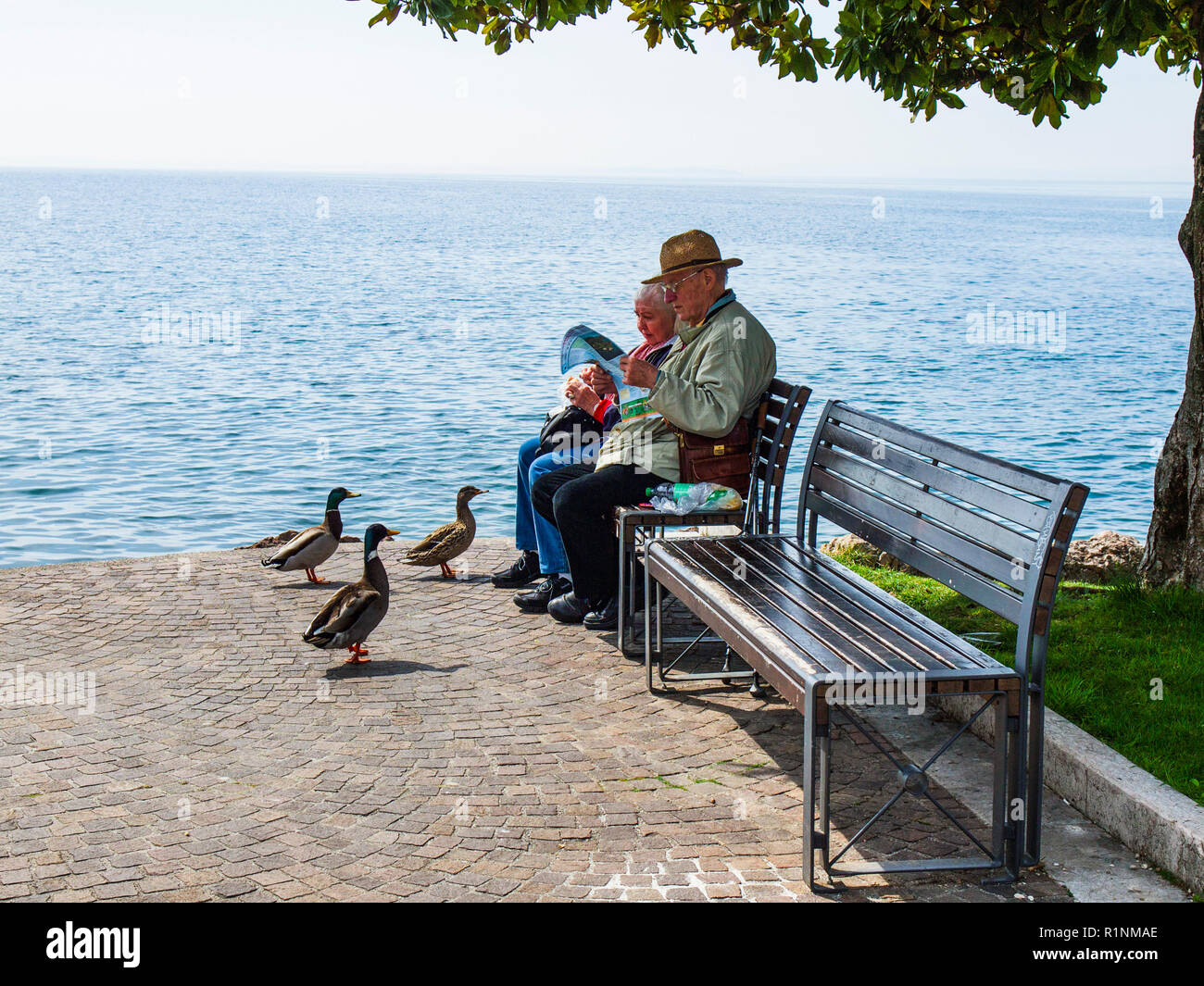 Ein älteres Ehepaar sitzt am Gardasee in Torri del Benaco, Italien Stockfoto