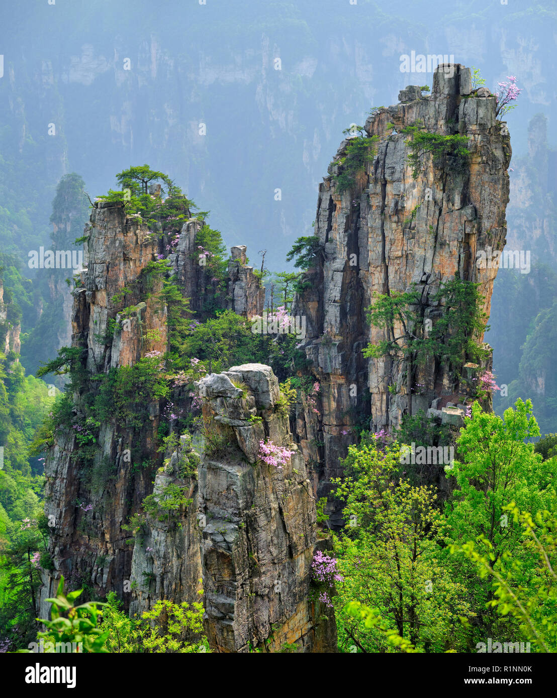 Zhangjiajie Berge, China Stockfoto