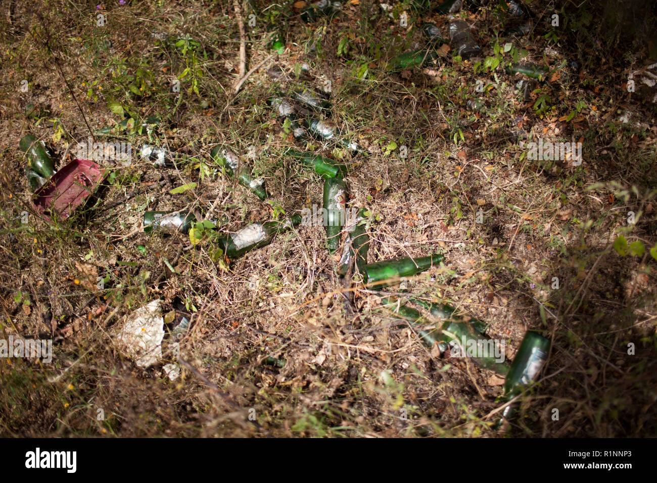 Iguala, Guerrero, Mexiko - Entehrten Bierflaschen gefunden, als Angehörige von Vermissten Personen Die Berge rund um die Stadt von iguala Für klandestinen Gräbern, Iguala, Guerrero, Mexiko, 29. November 2014 suchen. Papierkorb Warnungen oft bei der Suche nach potenziellen Grabstätte. Iguala ist der Speicherort, an dem 43 Studenten, die angeblich von der lokalen Polizei entführt wurden und übergab den lokalen Kartell Guerreros Unidos. Durch Suchen nach dem Teilnehmer, viele Massengräber haben in den ländlichen Berge in der Gegend gefunden wurde. Stockfoto