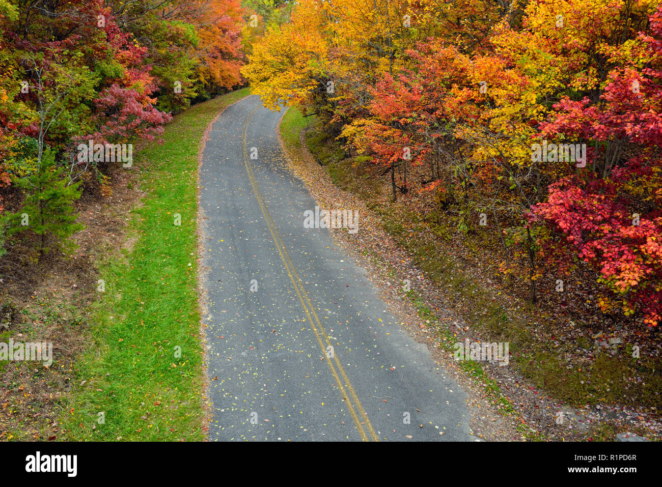 Nebenstraße, in der Nähe von Foothills Parkway, mit Herbst Laub, Great Smoky Mountains National Park, Tennessee, USA Stockfoto