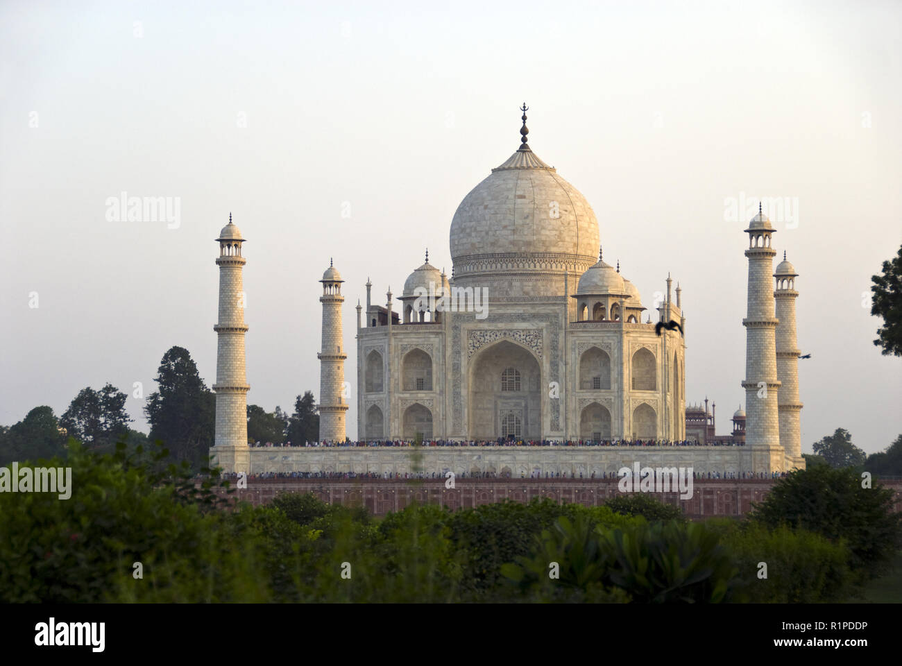 Das Taj Mahal, das Mausoleum von der Mehtab Bagh, Riverside Park und Garten in Agra, Indien gesehen. Stockfoto