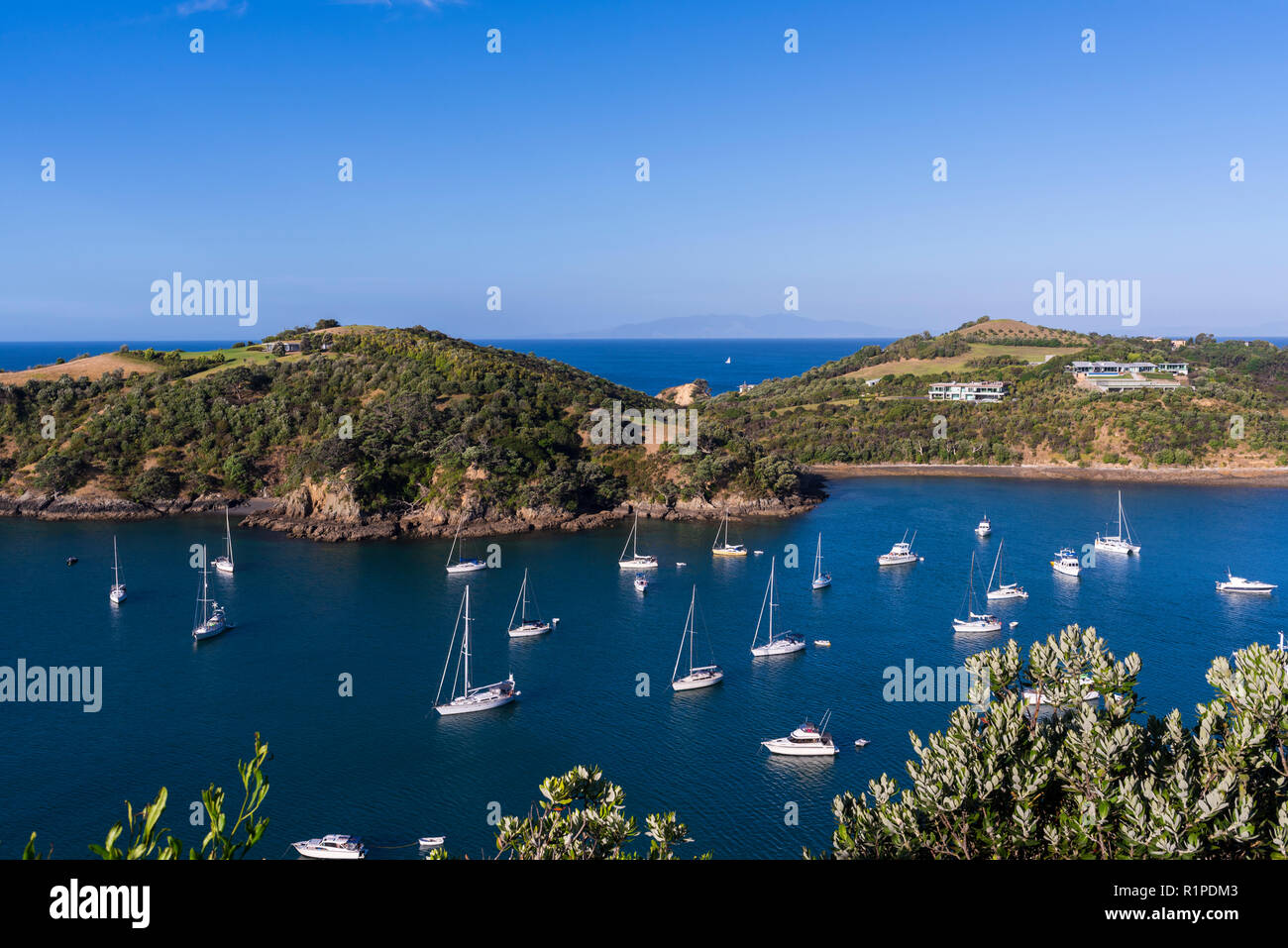 Waiheke Island, Neuseeland. Yachten in ruhigem Wasser Stockfoto