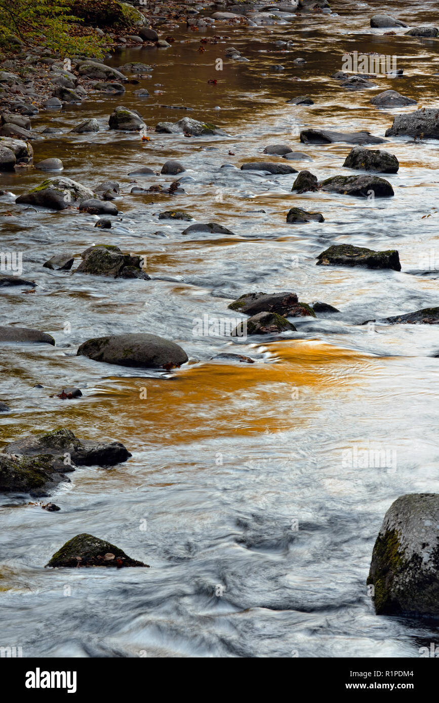 Herbst Reflexionen in den kleinen Fluss, Great Smoky Mountains National Park, Tennessee, USA Stockfoto