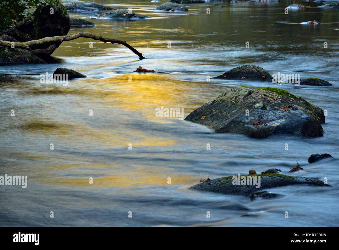 Herbst Reflexionen in den kleinen Fluss, Great Smoky Mountains National Park, Tennessee, USA Stockfoto