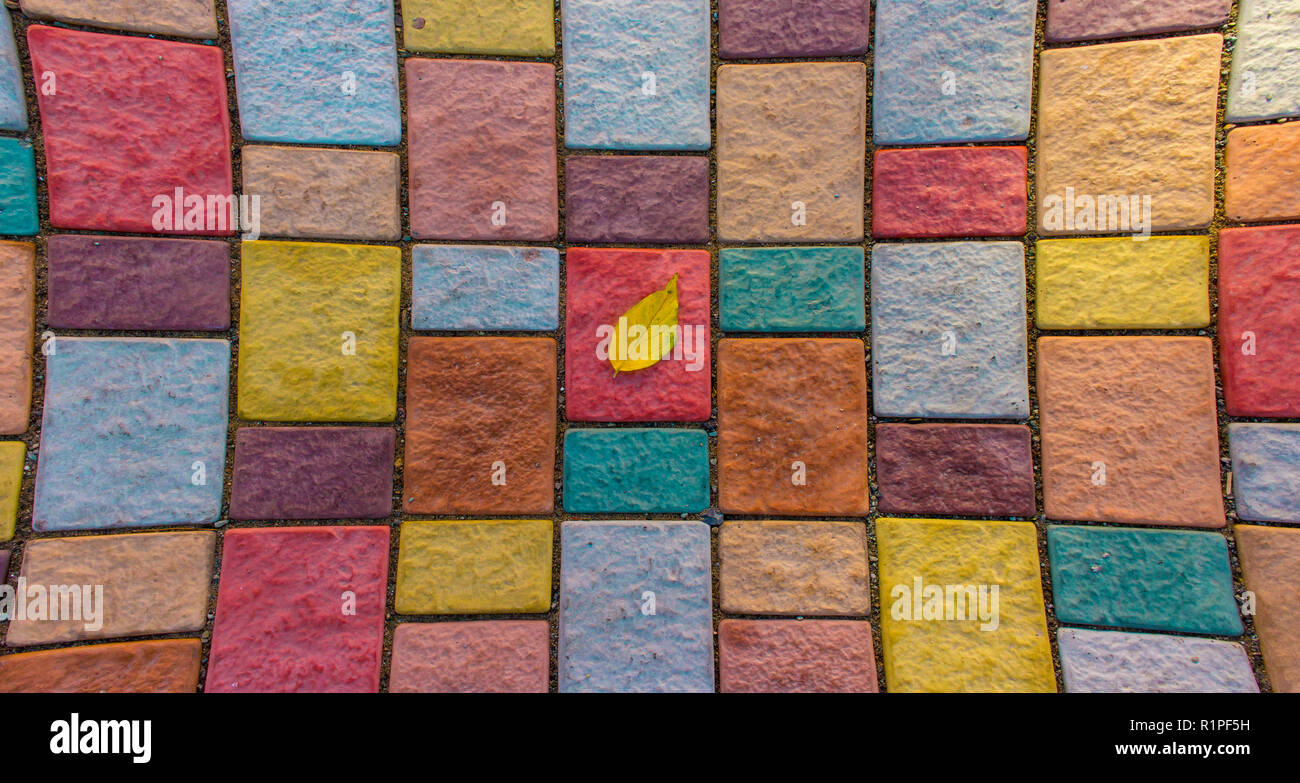 Gelbe Blatt auf bunten Stein Steine. Fish-eye Herbst Komposition Konzept. Stockfoto