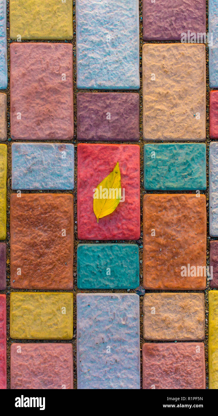 Close-up gelb Blatt auf bunten Stein Steine. Herbst Komposition Konzept. Stockfoto