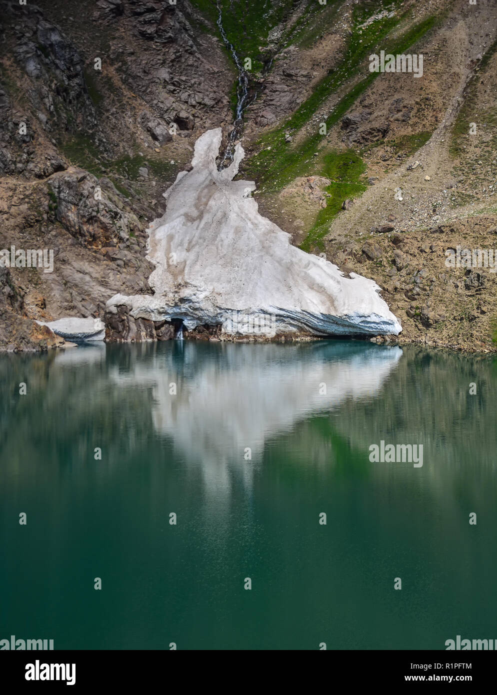 Schönheit in der Natur Stockfoto