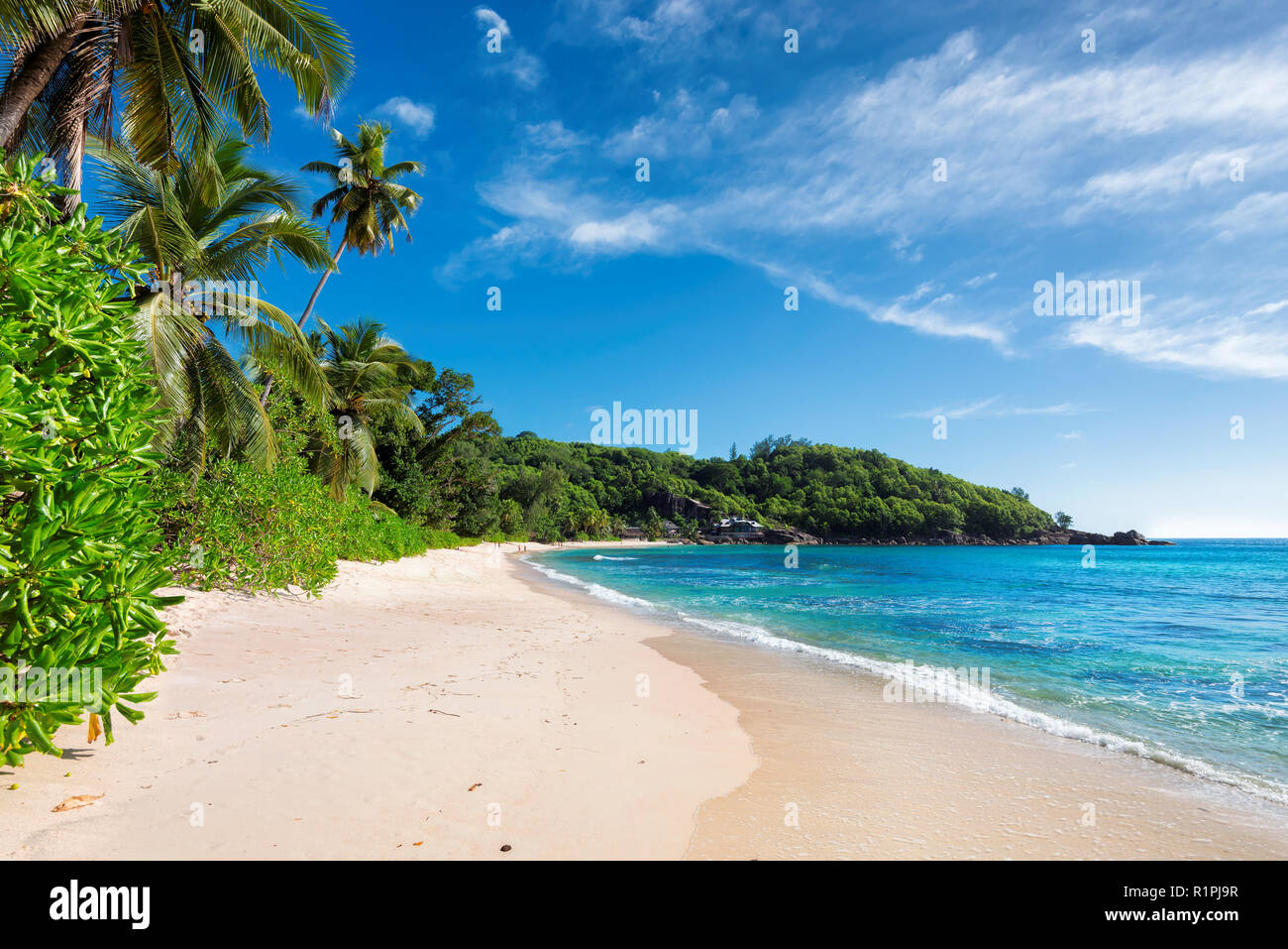 Unberührten tropischen Strand Stockfoto