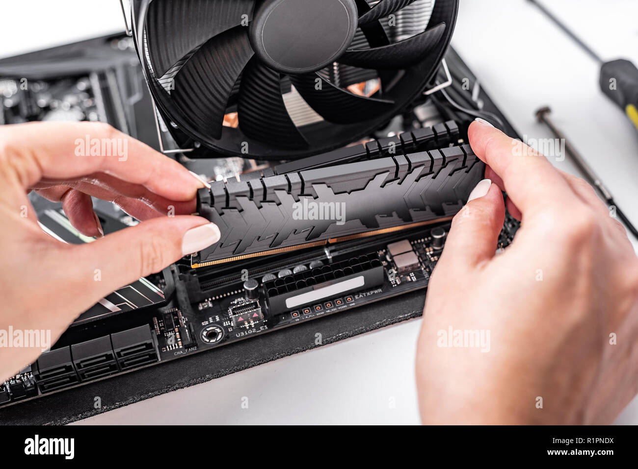 Installieren von Arbeitsspeicher in den PC. Stockfoto