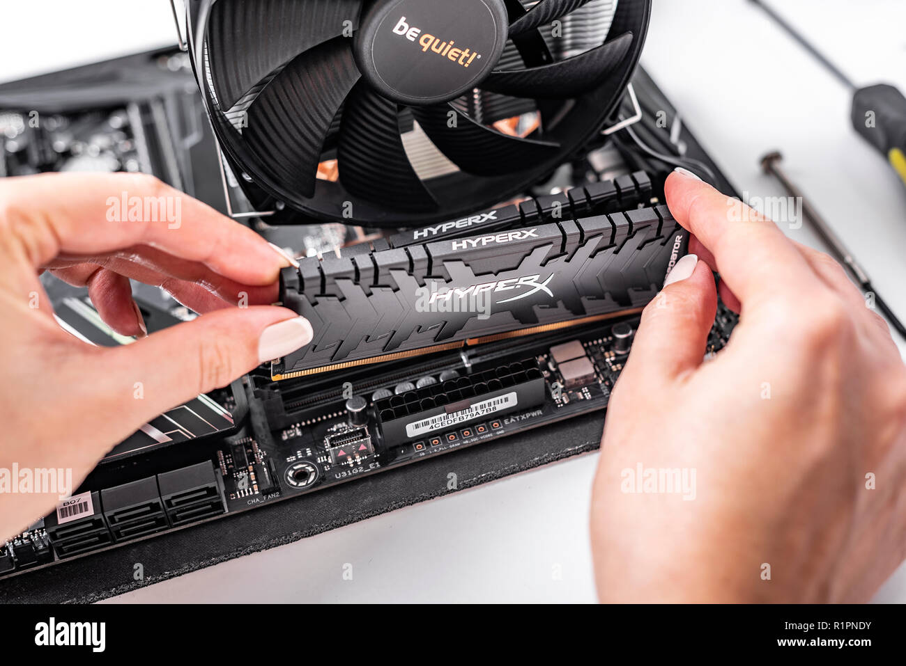 Installieren von Arbeitsspeicher in den PC. Stockfoto