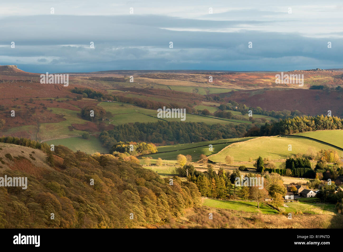 Herbstliche Abendlicht auf Peak District Landschaft. Stockfoto