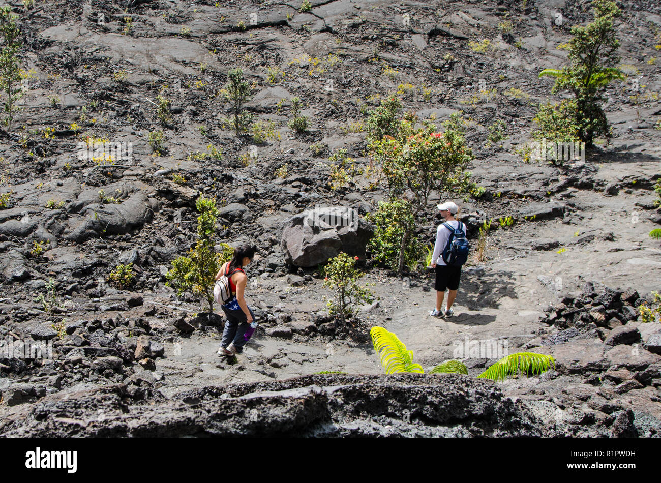 Die zwei Wanderer Wanderweg im Volcano National Park, Big Island, Hawaii Stockfoto