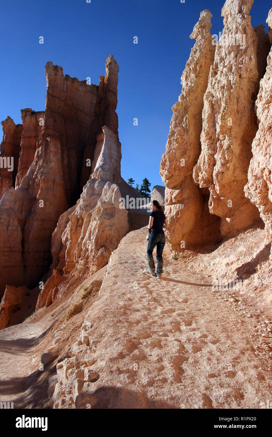 Frau Wanderungen bergauf Vergangenheit vielfältigen Felsformationen (HOODOOS) im Bryce Canyon National Park, Utah Stockfoto