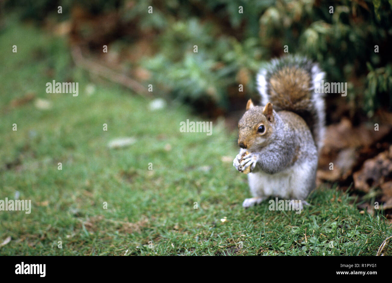 1980 s Archiv Fotografie Stockfoto