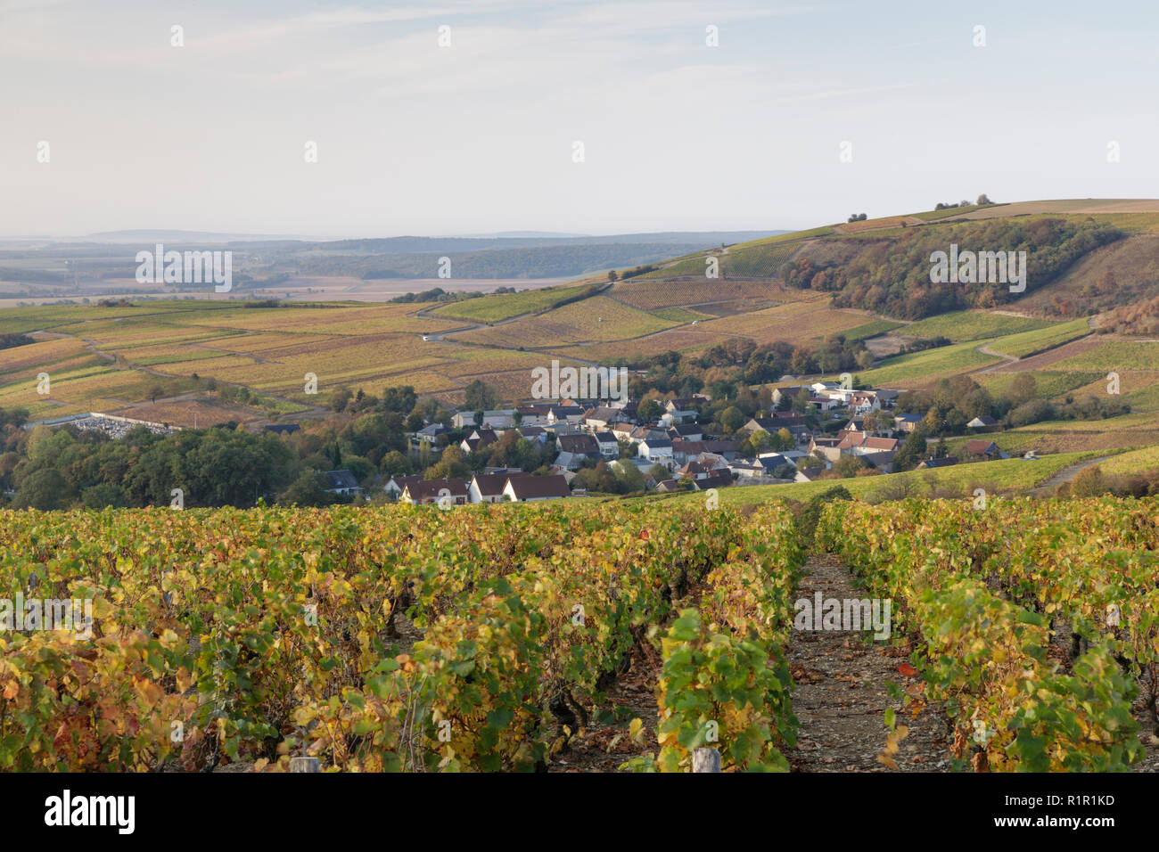 Die Weinberge von Sancerre, Frankreich. Die Gegend ist für seine Weine aus Rebsorten wie Pinot Noir und Sauvignon Blanc bekannt. Es ist auch auf der Stockfoto