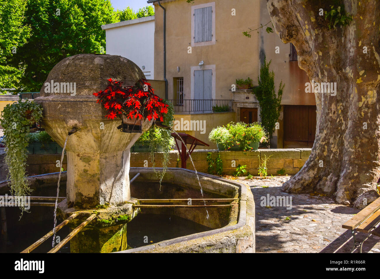 Schattiger Platz mit Brunnen im Dorf Bédoin, Provence, Frankreich Stockfoto