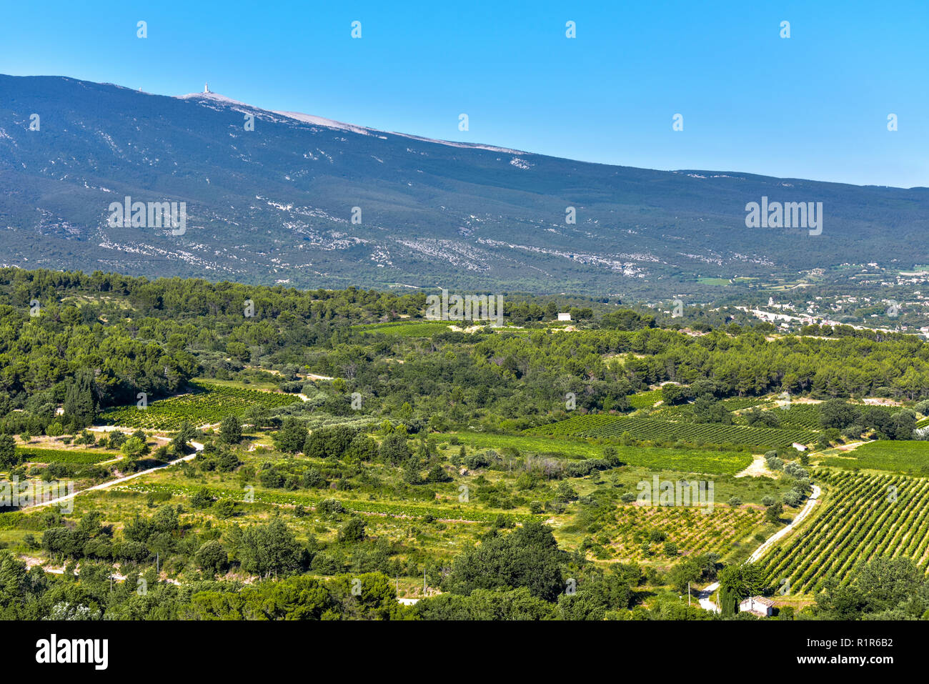 Panorama Blick vom alten Dorf Crillon-le-Brave in Richtung Berg Mont Ventoux, Provence, Frankreich Stockfoto