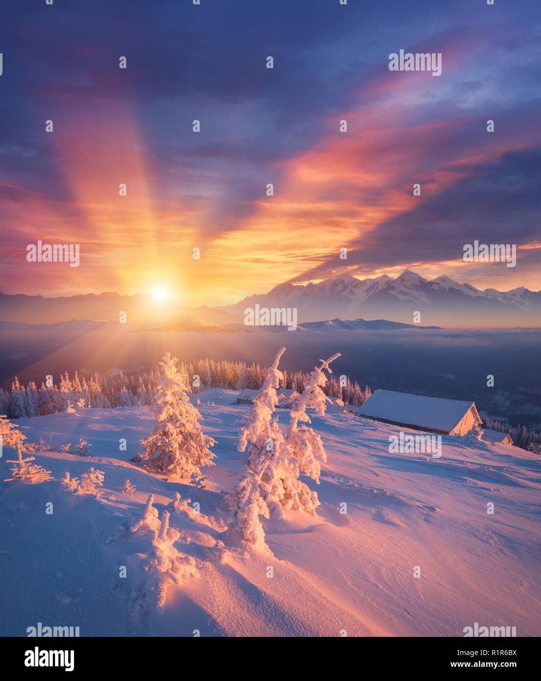 Frostigen morgen in den Bergen. Bunte sunrise. Winterlandschaft. Weihnachten anzeigen Stockfoto