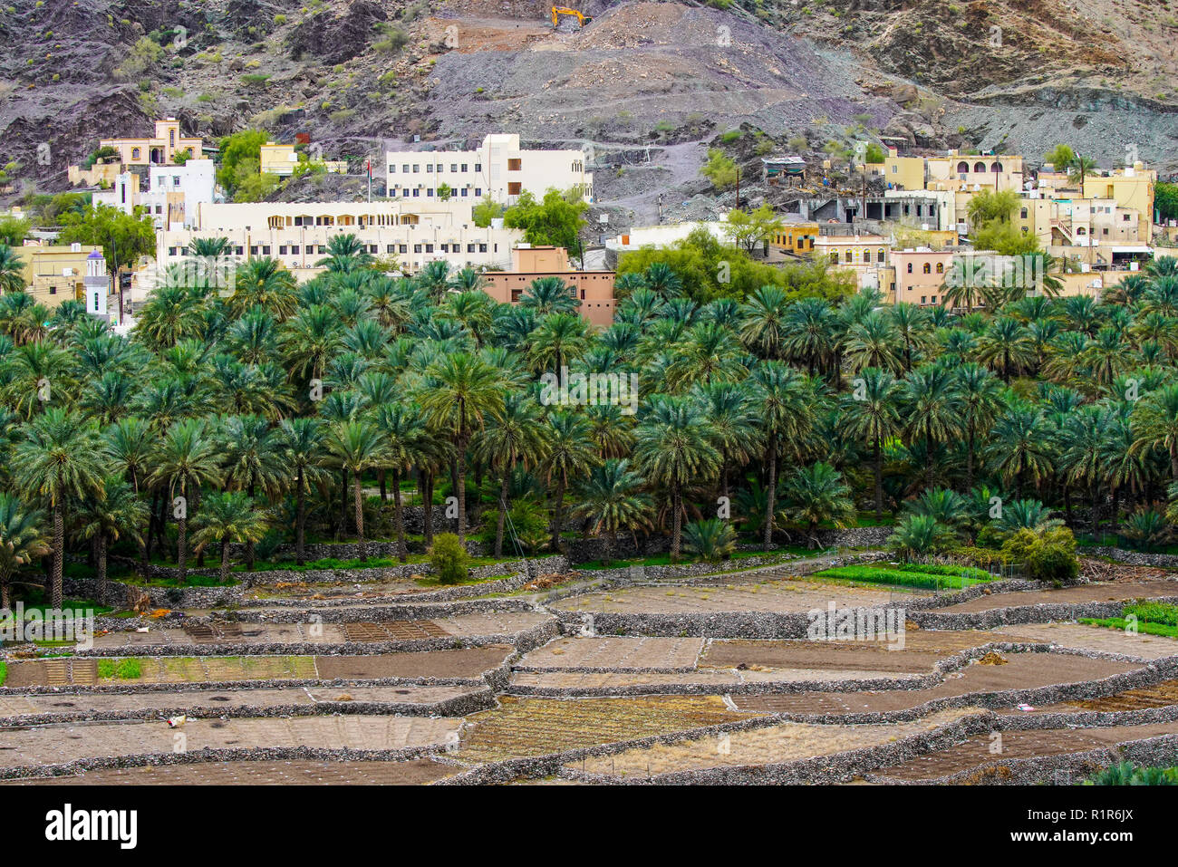 Das Dorf Balad Sayt, westlichen Hajar-Gebirge, Oman Stockfoto