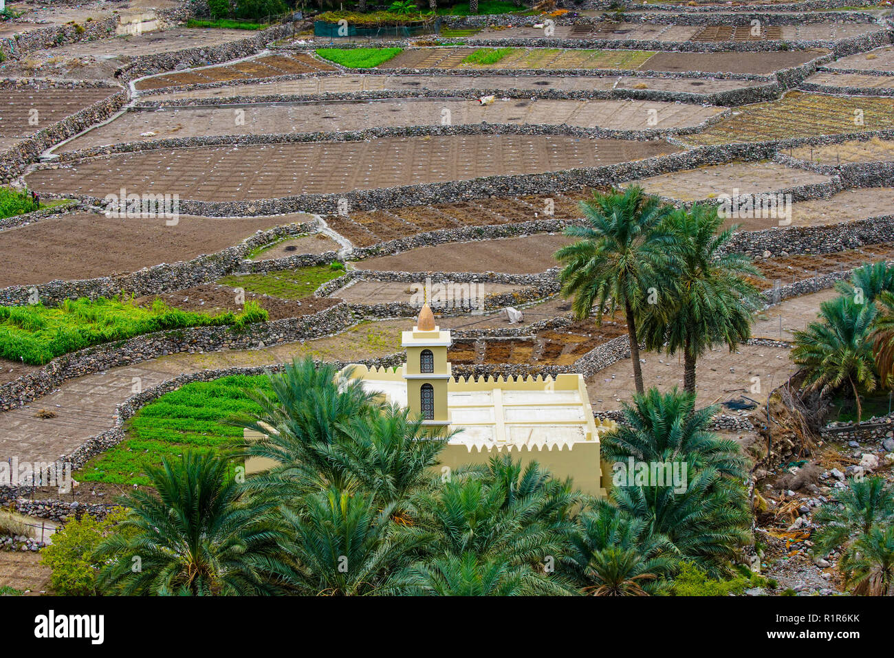 Die Moschee in der Ortschaft Balad Sayt, Western Hajar Berge, Oman Stockfoto