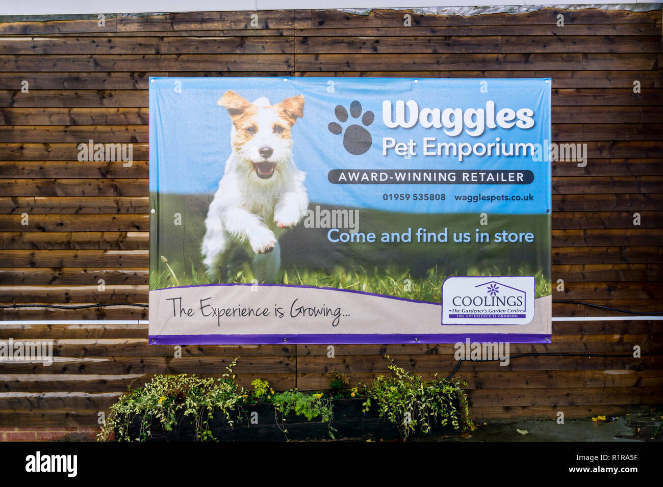 Ein Plakat für Waggles Pet Emporium bei Coolings Garten Center, Kent. Stockfoto