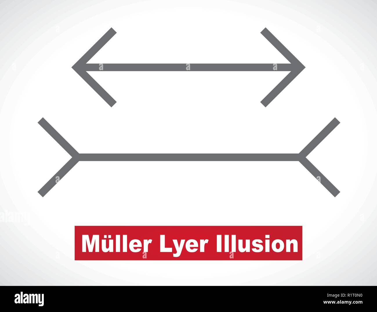 Muller Lyer Optische Illusion Abbildung Stock Vektorgrafik Alamy