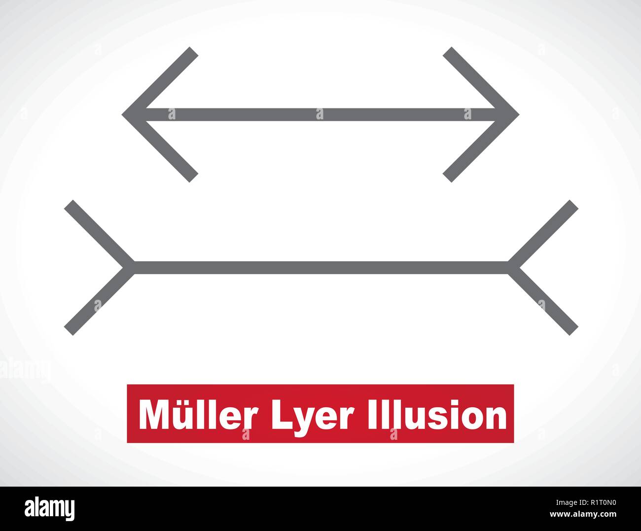 Muller-Lyer optische Illusion, Abbildung Stock Vektor