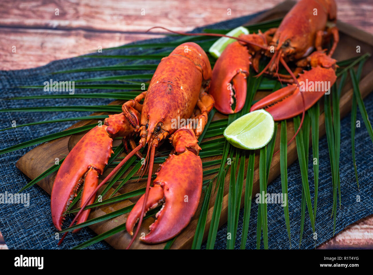 Nahaufnahme von frisch gedämpftem Hummer mit Kräutern in grauem Teller Stock Foto Stockfoto