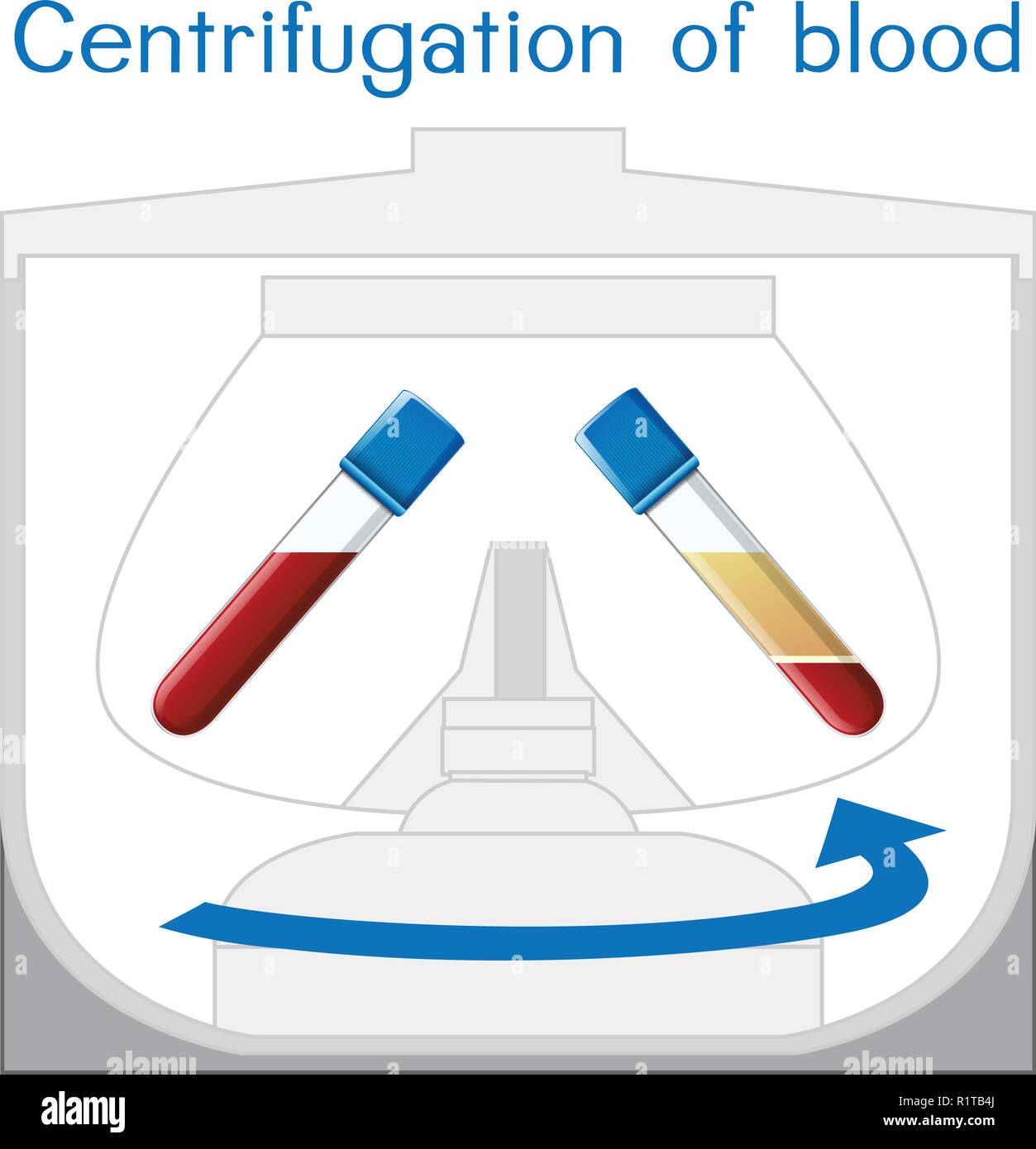 Zentrifugation von Blut Diagramm Abbildung Stock Vektor