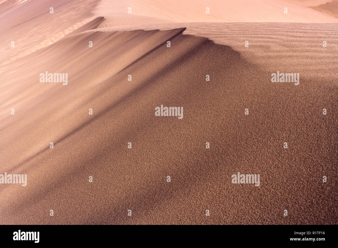 Sand dune im Valle de La Muerte (Death Valley), Los Flamencos National Reserve, San Pedro de Atacama, Atacama-wüste, Antofagasta Region, Stockfoto