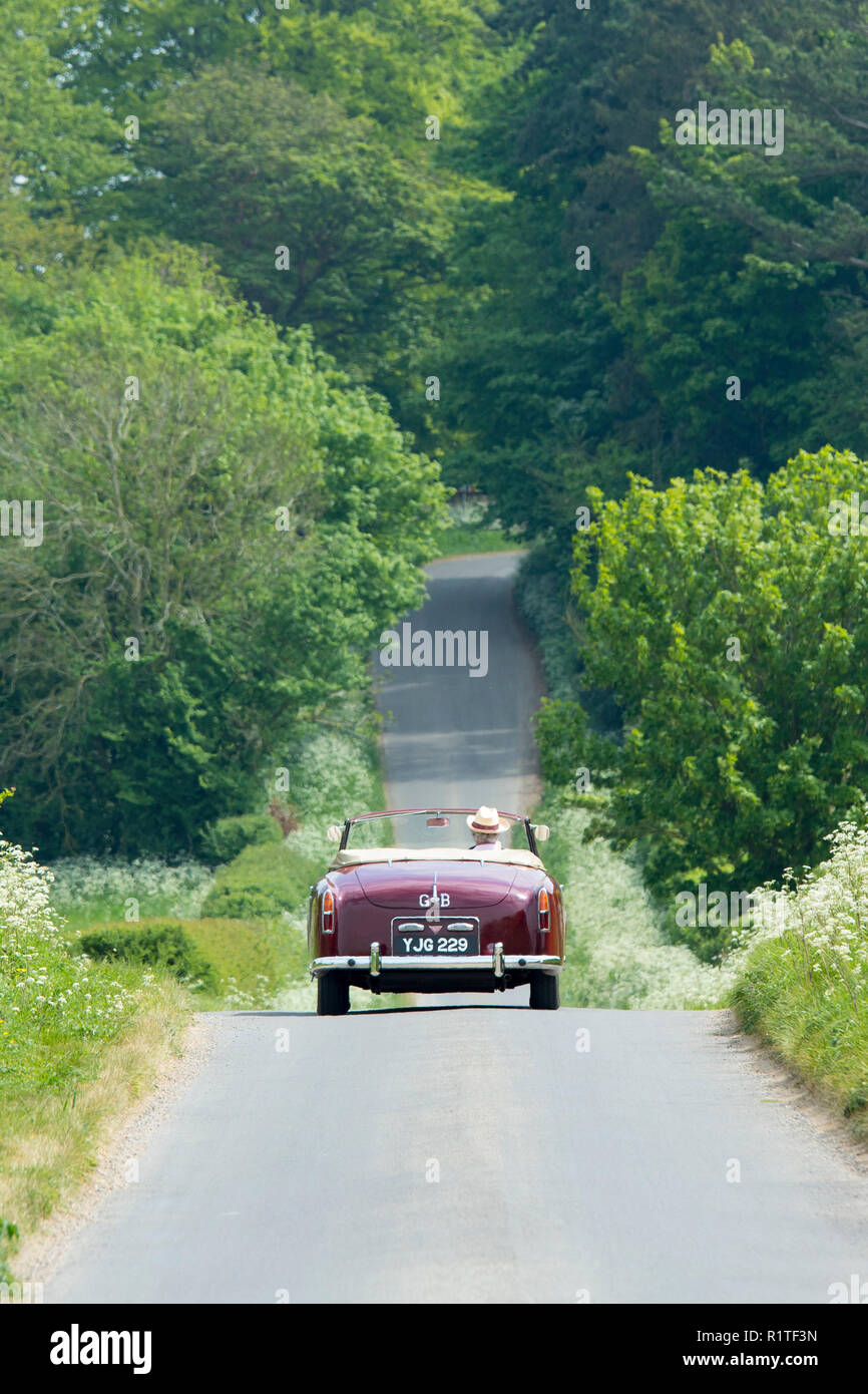 Autofahrer fahren in einem Britischen gemacht Alvis TD21 Classic Car an einem Feldweg in den Cotswolds, England Stockfoto