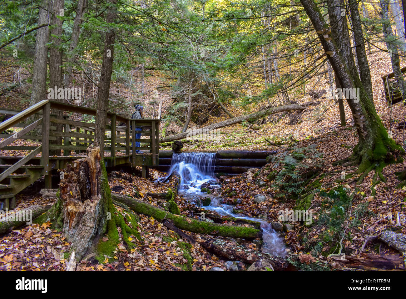 Wasserfall erstellt von einem alten Damm am Iargo Federn, diese natürlichen Quellen sind im Huron National Forest gefunden. Dieser Bereich ist erstaunlich im Herbst. Stockfoto