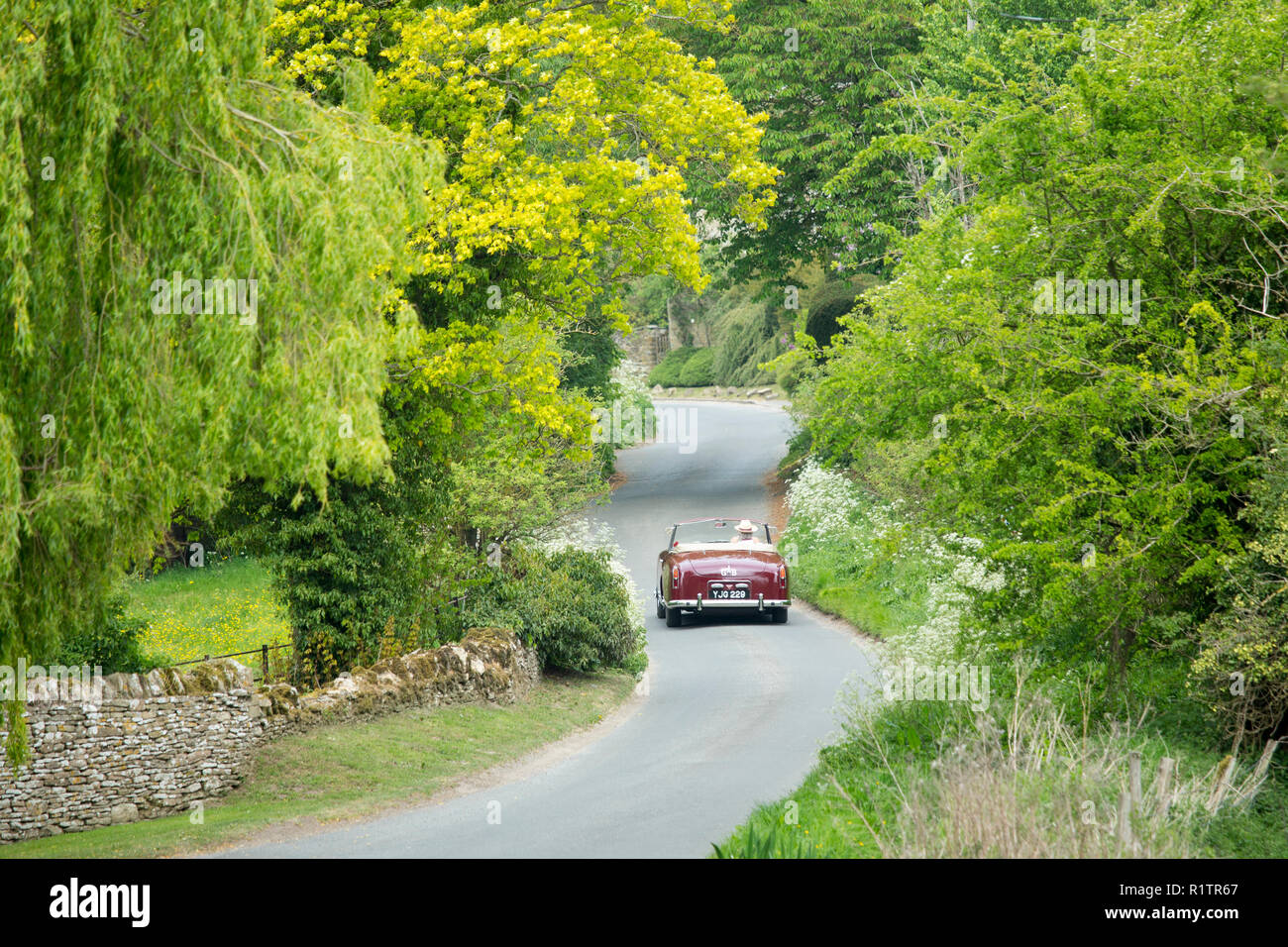 Autofahrer fahren in einem Britischen gemacht Alvis TD 21 Drop Head Coupe classic car an einem Feldweg in den Cotswolds, England Stockfoto