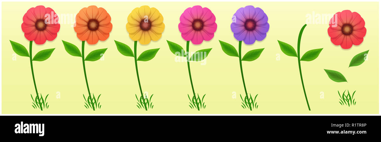 Eingestellt von bunten Blumen, Rot, Orange, Gelb, Pink, Lila. Blume Teile  zu montieren. Blumen mit Blüten, Blätter, Gras und Stammzellen. Abbildung  Stockfotografie - Alamy