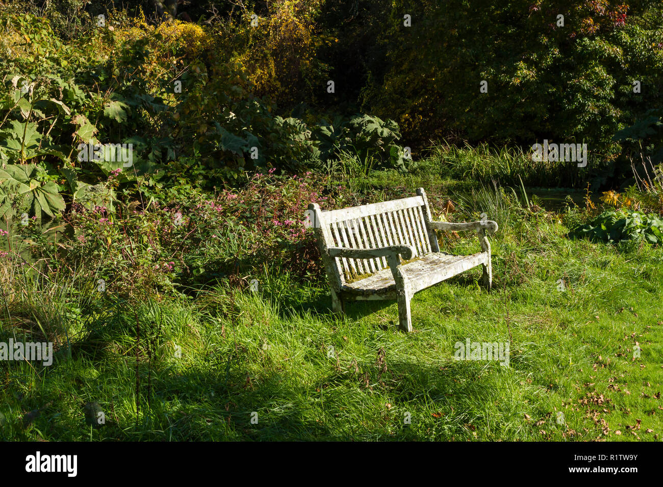 Eine leere Bank aus Holz, einem ruhigen Ort in einem wunderschönen Garten zu sitzen, Herbst UK Stockfoto