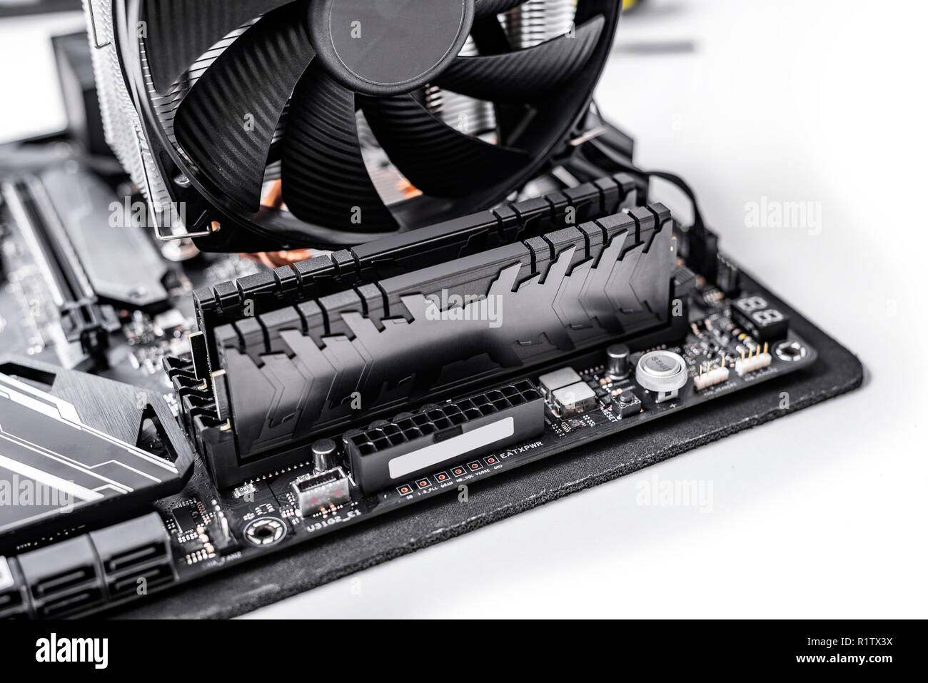 Installieren von Arbeitsspeicher in den PC. Stockfoto