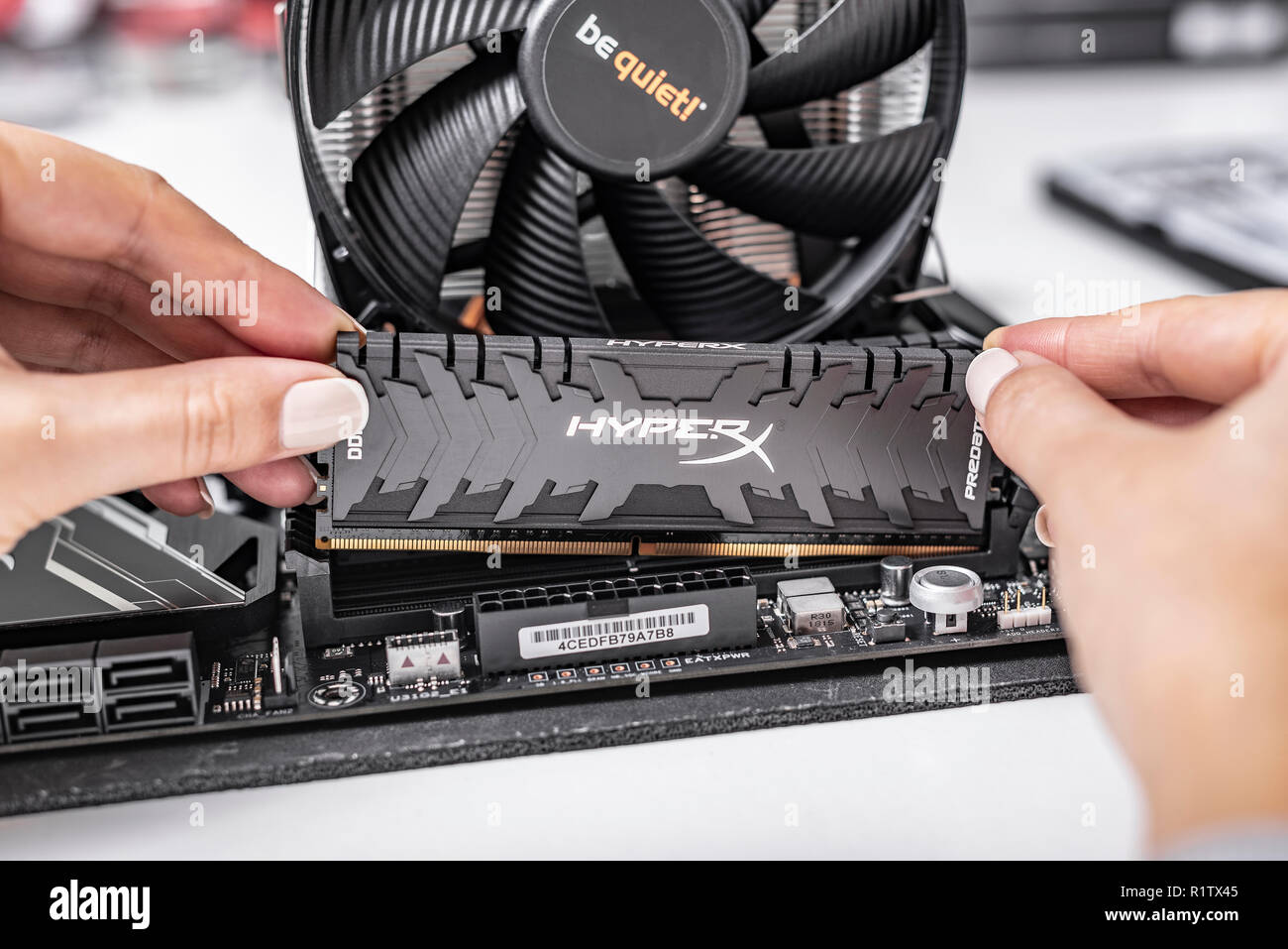 Installieren von Arbeitsspeicher in den PC. Stockfoto