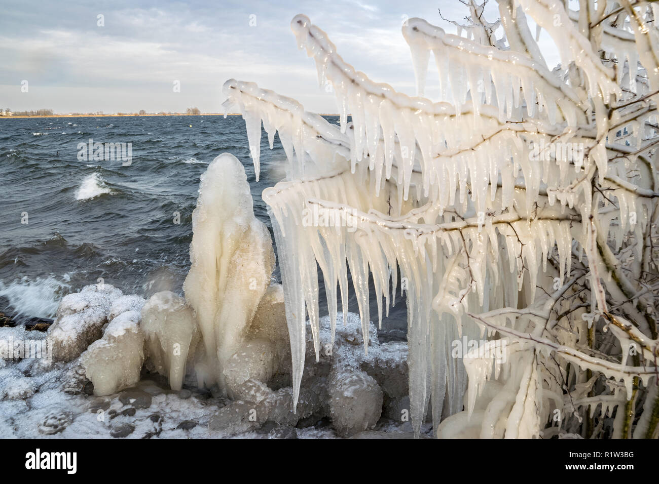 Eiszapfen auf einem kleinen Baum, durch die kontinuierliche Spray von einfrierendem Wasser am Ufer eines Sees während einer Kältewelle im winter in Holland verursacht Stockfoto