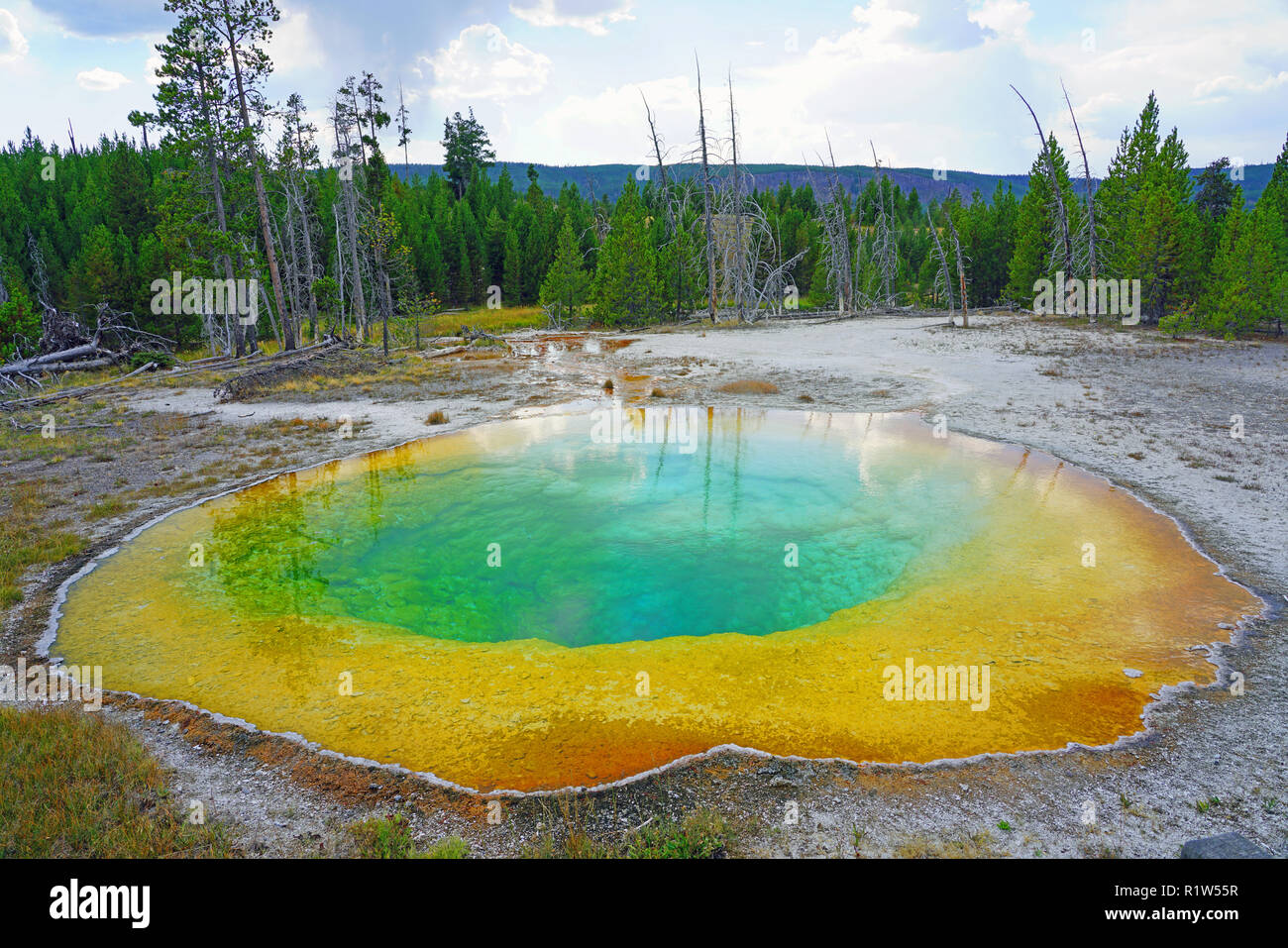 Blick auf die Morning Glory Pool im Yellowstone National Park, United States Stockfoto