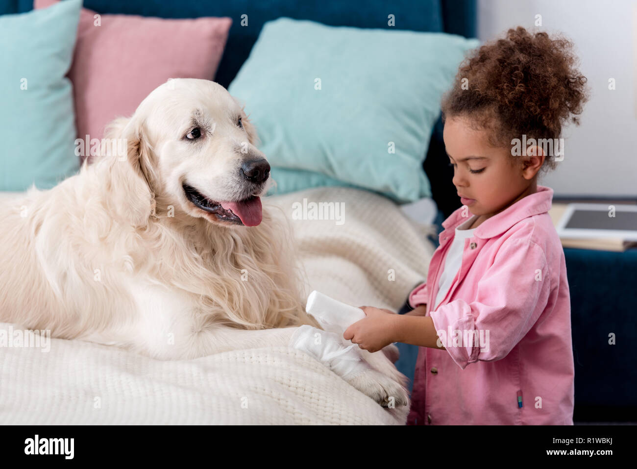 Cute afrikanische amerikanische Kind Bandagen paw Hund Stockfoto