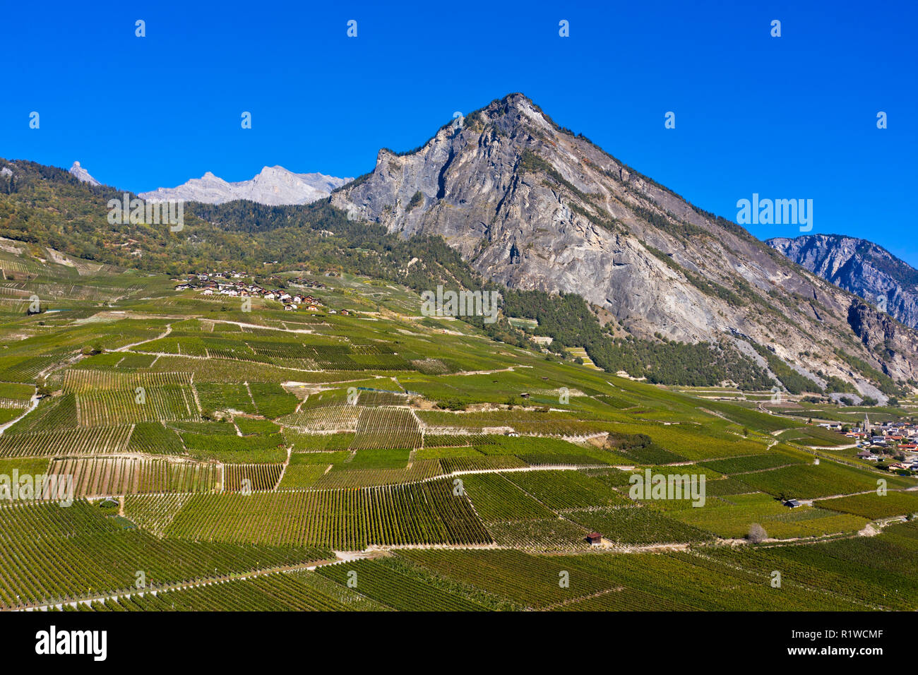 Drone schoß, Wallis Weinberge, in der Rückseite Gipfel Ardeve, Saillon, Wallis, Schweiz Stockfoto