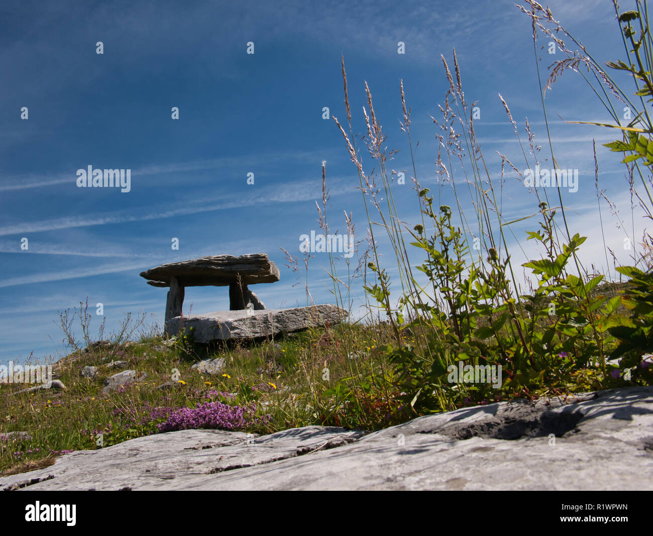 Ein Megalith Gebäude aus großen Steinblöcken in Irland in der Nähe von poulnabrone Stockfoto