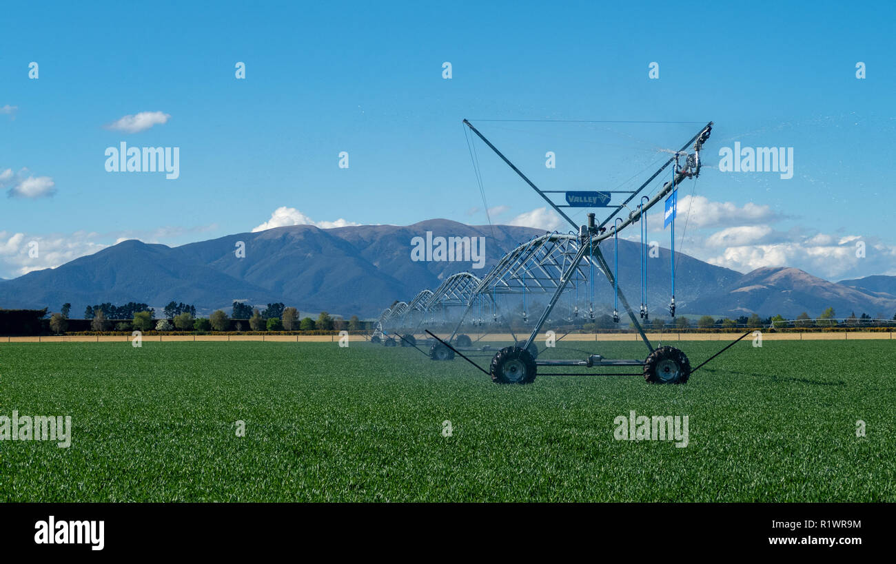 Einen Drehmittelpunkt irrigator auf dem Bauernhof liefert Wasser zu Weiden und Kulturpflanzen auf Bauernhöfen in Canterbury, Neuseeland Stockfoto