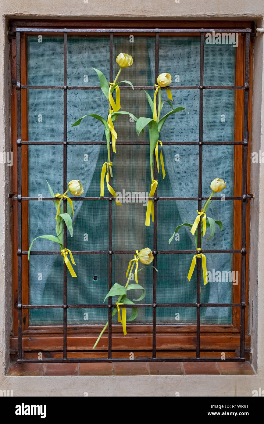 Gelbe Tulpen in einer Windows in einem spanischen Dorf Begur für eine katalanische Unabhängigkeit Stockfoto