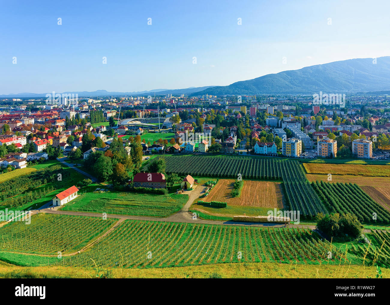 Stadtbild von Maribor mit Weinbergen, untere Steiermark, Slowenien Stockfoto