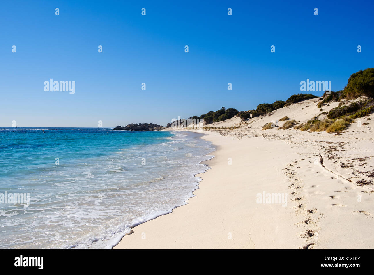 Longreach Bay auf Rottnest Island, Perth, Australien Stockfoto