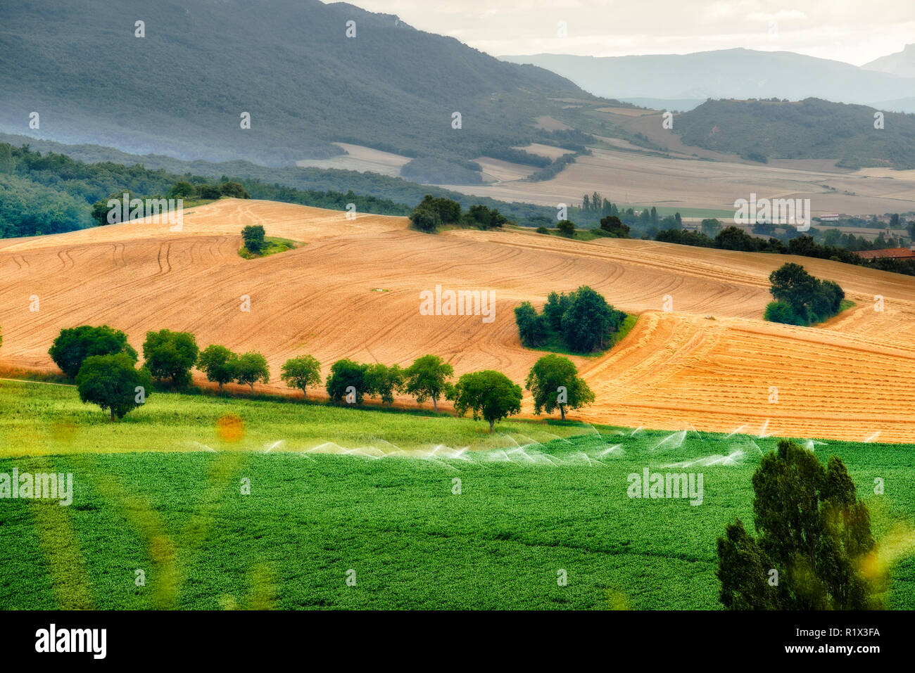 Bewässerung durch Sprinkler Felder, San Martín del Zar, Burgos, Spanien, Europa Stockfoto